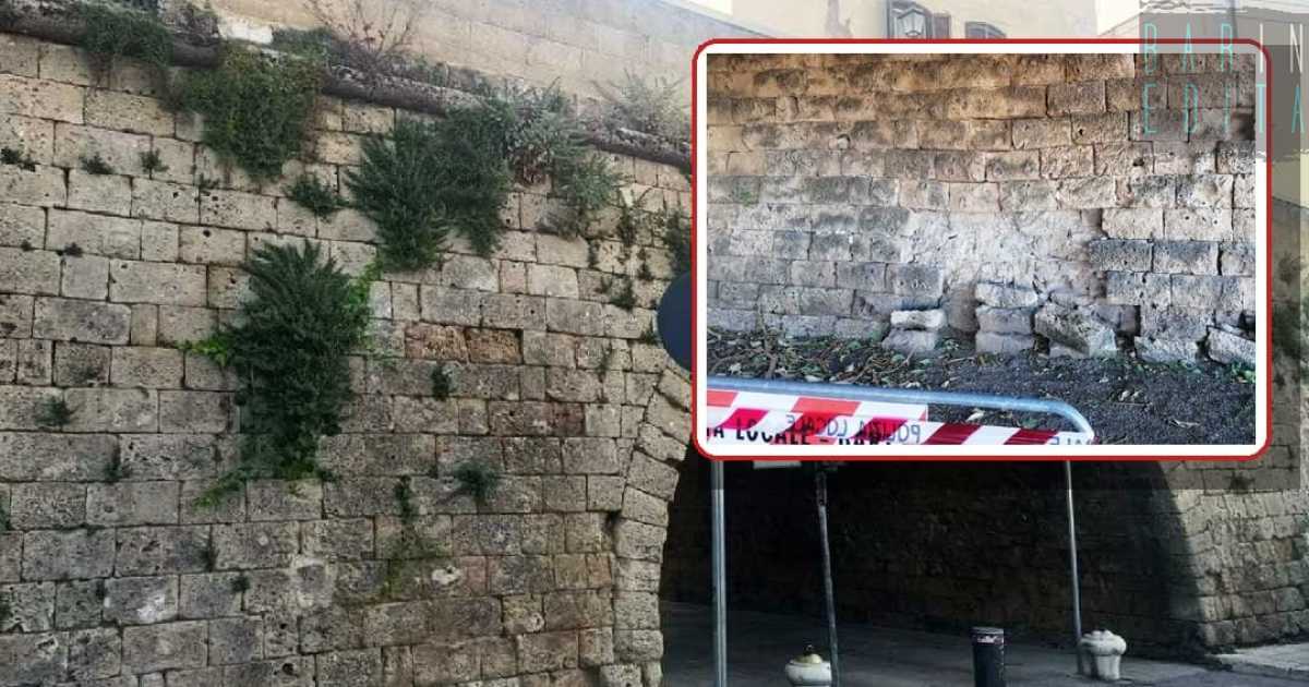 Incuria e vegetazione infestante, la Muraglia di Bari sta cadendo a pezzi: ma nessuno fa nulla 
